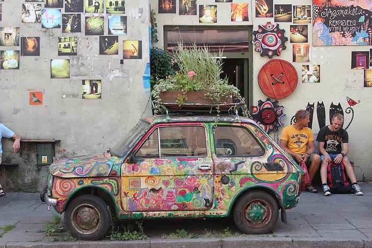 car, old, colored, historic cars, flower bed, plants, green