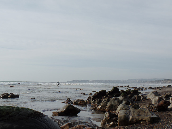 surfer, rocks, beach, surfing, stone, low tide
