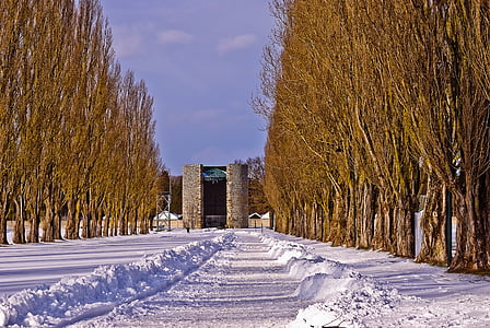 KZ, Memorial, Dachau, istorija, pavogtų, nusikalstamumo, baisi