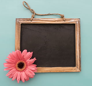 flowers, background, blackboard, frame, wood - Material, blank, backgrounds