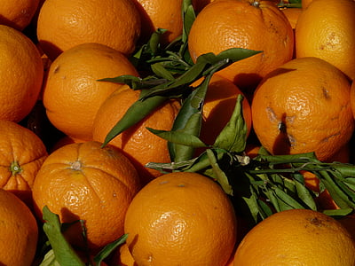 oranges, orange, fruits, agrumes, vitamines, alimentaire, mûres