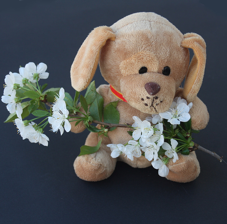 teddy, dog, stuffed animal, ill, flowers, sad, arm