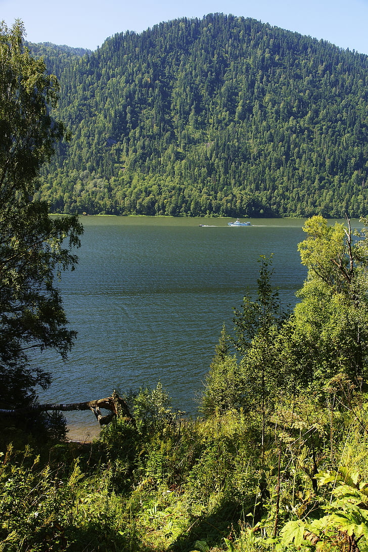 Lacul teletskoye, apa, cer, natura, pădure, vara, frumusete din natura
