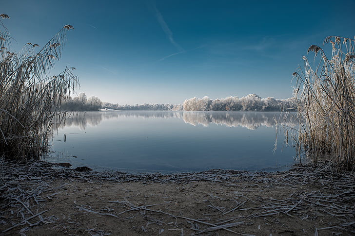 l'hivern, Llac, fred, natura, arbres, hivernal, l'aigua