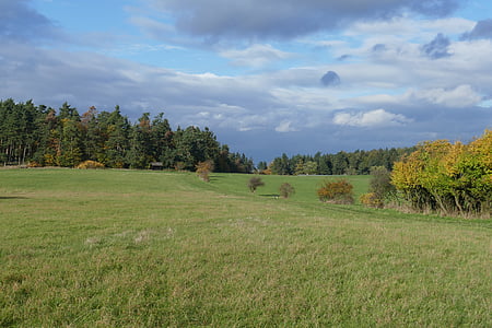 meadow, perspective, landscape, autumn, forest, deciduous trees, clouds