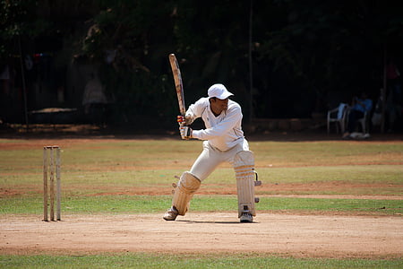 cricket, batsman, thể thao, gốc cây, nhấn, mặt đất, cầu thủ cricket