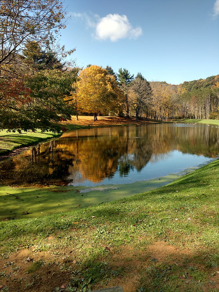 autumn, pond, lake