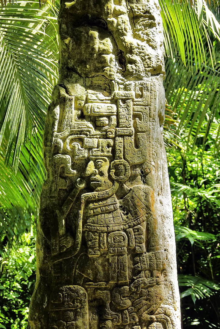 Guatemala, Ceiba, sayaxche, sten, Maya, regnskog, ruinerna