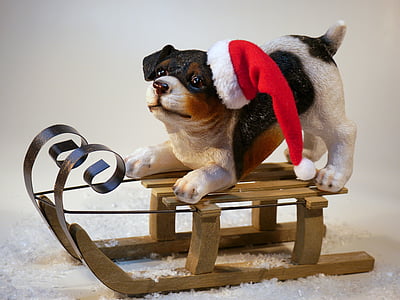 Kerst, hond, Kerst hond, Kersttijd, vrolijk kerstfeest, dier, xmas