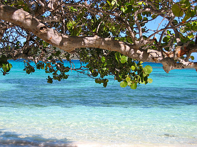 Barbados, Carib, Mar, platja