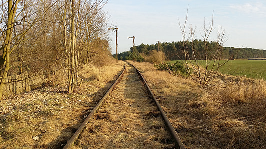 tracks, grass, summer, scenery, vegetation, railroad, landscape
