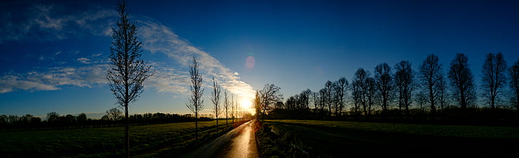 clouds, panoramic, road, silhouette, sky, sunrise, sunset