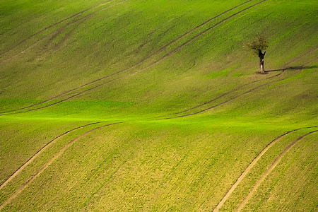 Чешская Республика, пейзаж, поле, Луг, живописные, Природа, на открытом воздухе