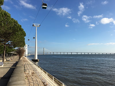 sjøen, Lisboa, Portugal, Vis