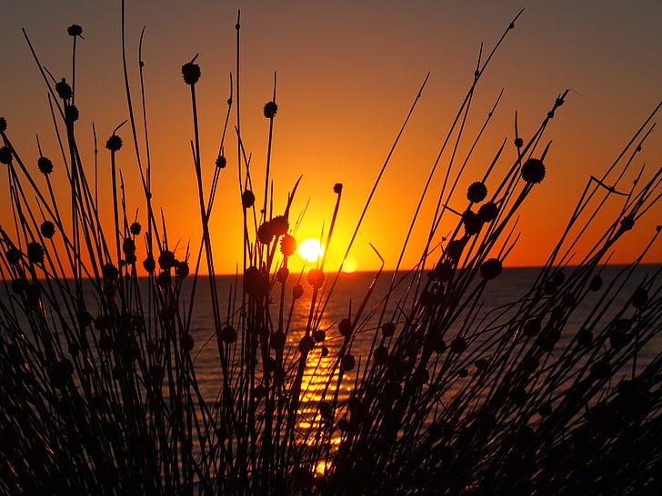 Západ slunce, West beach, Jižní Austrálie, pobřeží, soumraku, klidný, oceán
