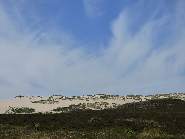 sylt, dunes, dune, grasses, north sea, beach, sea