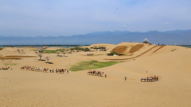mar de areia, a paisagem, Sha, caravana, deserto, natureza, paisagem