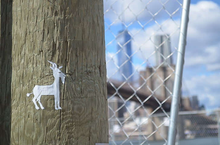 art de la rue, New york, NYC, chèvre