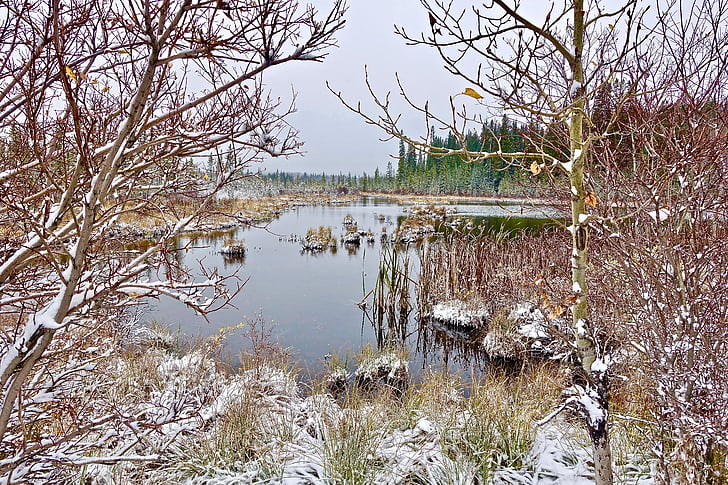 Lake, lạnh, tuyết, hoang dã, phản ánh, đông lạnh, danh lam thắng cảnh