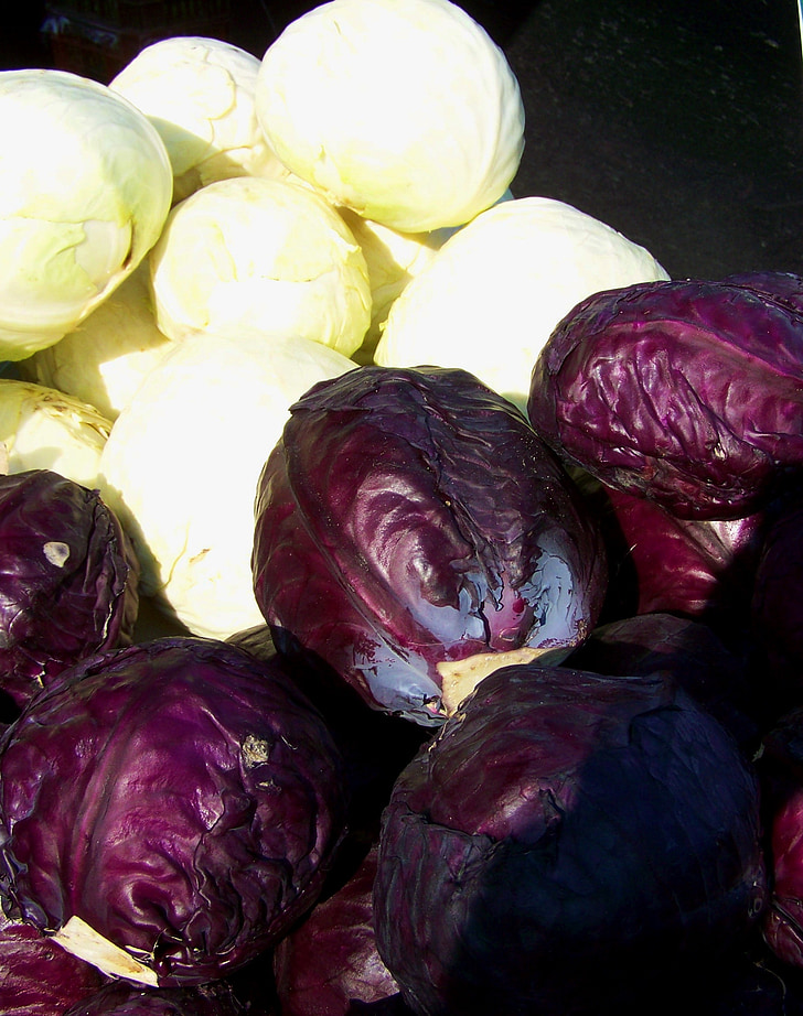 purple cabbage, white cabbage, vegetables