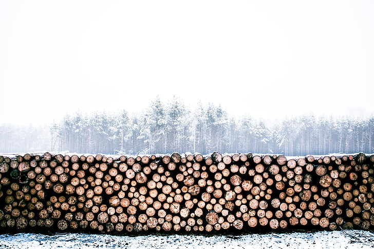 pile, wood, log, logs, lumber, snow, cold
