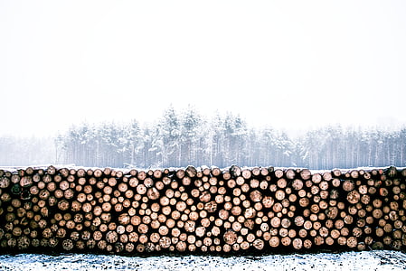 pilha, madeira, log de, logs, madeira serrada, neve, frio