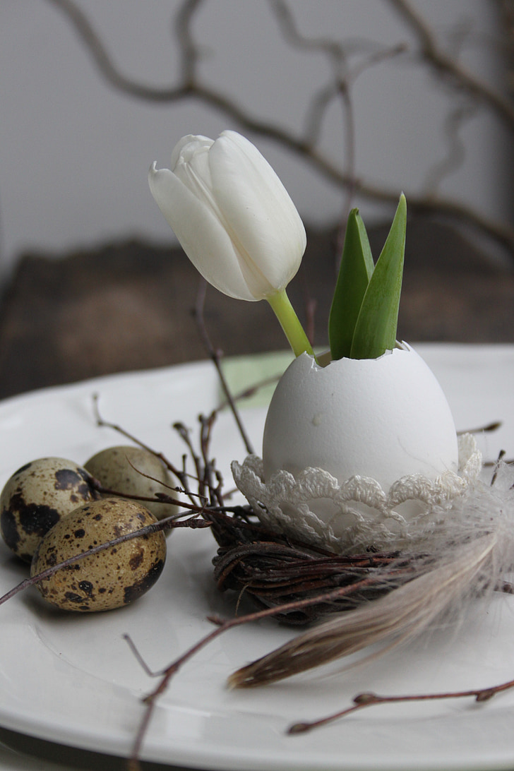 Tulipa, ou, decoració de Pasqua, ous de guatlla, primavera, escombraries, ganxos