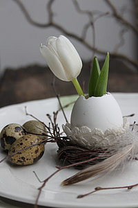 Tulip, ou, decor de paste, oua de prepelita, primavara, gunoi, cârlige