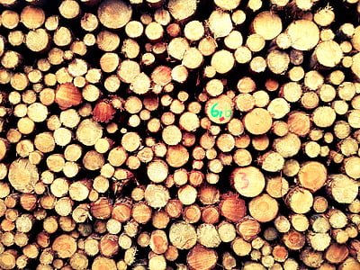 madera, bosque, naturaleza, tronco, textura, la estructura de la, Konaré
