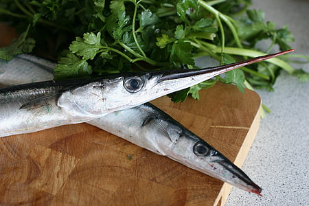 garfish, fish, spring, dining, parsley, taste, shoal of fish