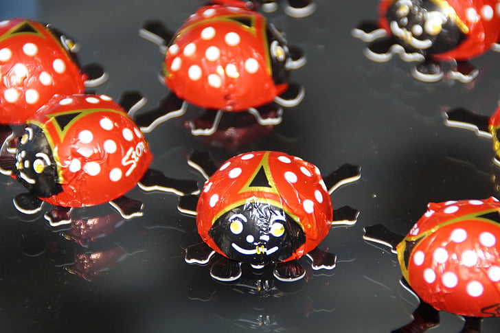Escarabajo de la, Mariquita, Lucky ladybug, decoración, Escarabajo de chocolate, suerte, Saludo