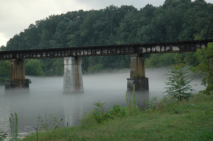 Ponte, cavalletto della ferrovia, fiume, Tennessee, nebbia, montagne
