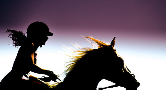 Rider, vội vàng, cơn bão, Amira, con ngựa, Silhouette, động vật