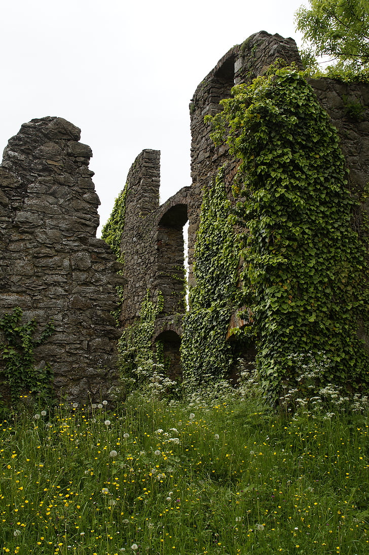 Zamek, ruiny, Średniowiecze, Hohentwiel, Hegau, Jezioro Bodeńskie, śpiewać