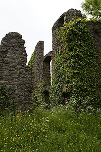 Castelul, ruina, Evul mediu, Hohentwiel, Hegau, Lacul constance, cântă