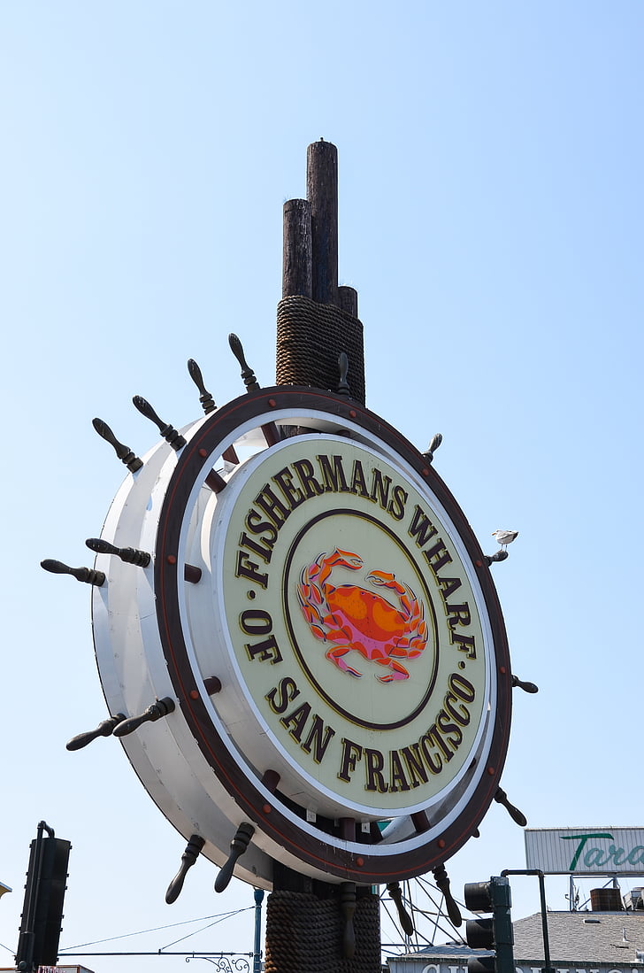 Fishermans wharf, USA, Amerika, San francisco, skjold, Californien, port