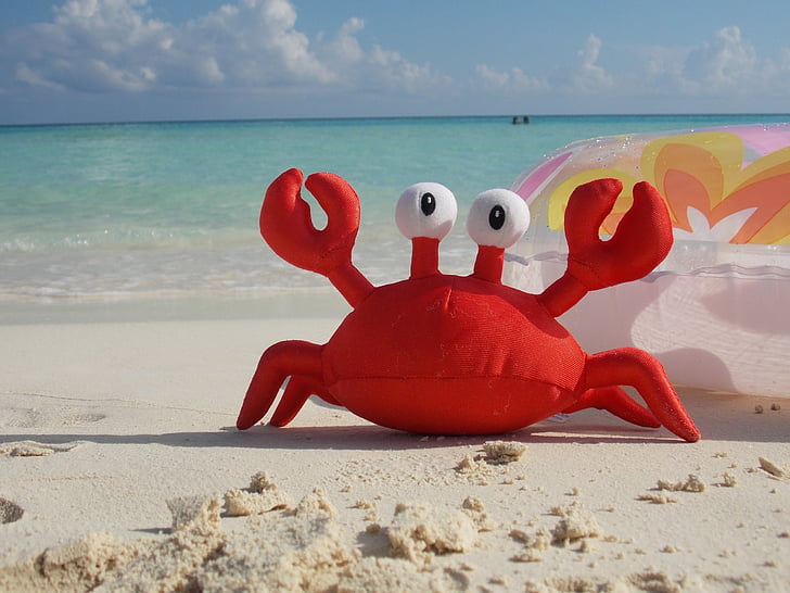 Krab, pláž, Mořské plody, hračka, Já?, písek, dovolená
