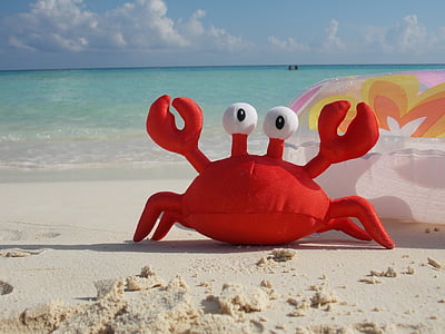 crab, beach, seafood, toy, sea, sand, vacations