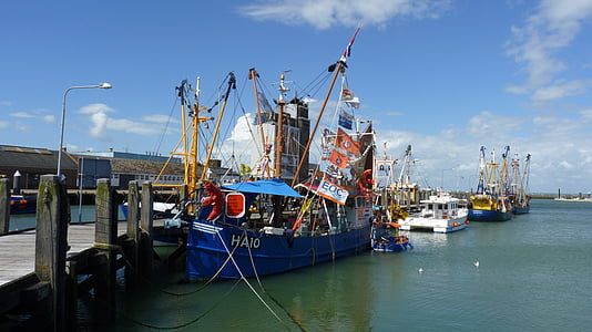 barco de pesca, camarón, cortador de, barco de pesca, arranque, Puerto