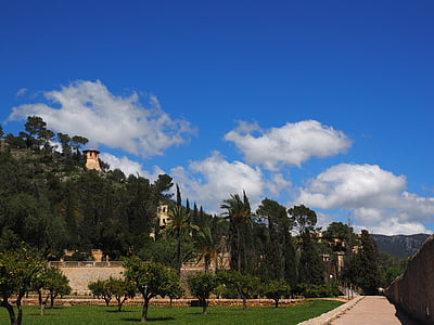 eiendom monumenter, historisk, eiendom, monumenter, Bunyola, Mallorca, treet