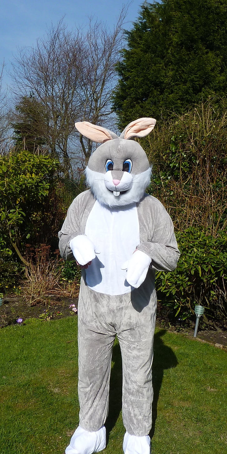 Великодній заєць, кролик, костюмований, костюм, весело, пухнастий