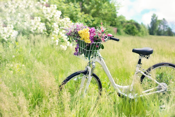 bicikala, livada, cvijeće, trava, bicikl, proljeće, zelena