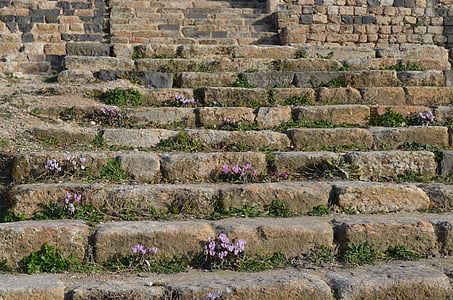flores, escadas, ruínas, pedra, tijolo, arquitetura, material de pedra