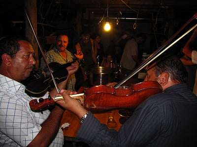 violin, music, musician, plays music, revel, party