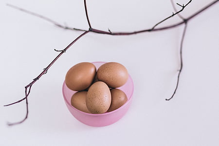 eggs, pink, container, stem, bowl, food, animal Egg