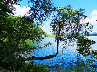 เล weissensee, ทะเลสาบ, น้ำทะเลใส, uferweg, ต้นไม้ก่อ, allgäu, ปลายทางการท่องเที่ยว