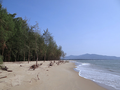 beach, white sand, casuarina forest, arabian sea, karwar, india