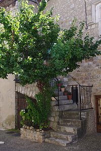 armadilha, rua, França, casa, escada, árvore, Alo