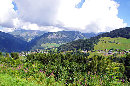 Alpid, Savoie, Matkamine, heinamaa, mägi, maastik, Panorama