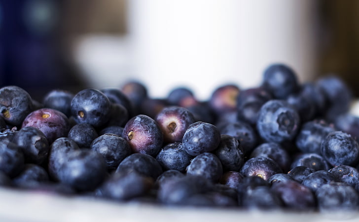 blueberries, white, bowl, blue, berries, food, fruit
